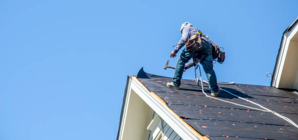 Best Roof Gutter Cleaning  in Center Point, IA